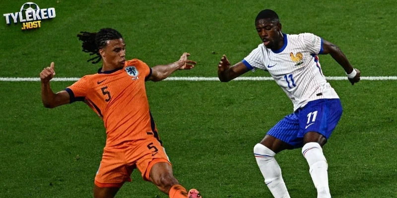 Cập nhật mới nhất đội hình dự kiến Tunisia vs Hà Lan