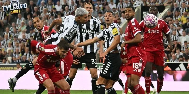 Tổng quan tình hình Newcastle, Liverpool